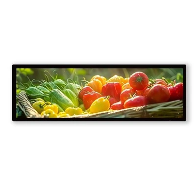 28 .6 дюймдук LCD тилкеси эки жүздүү экран